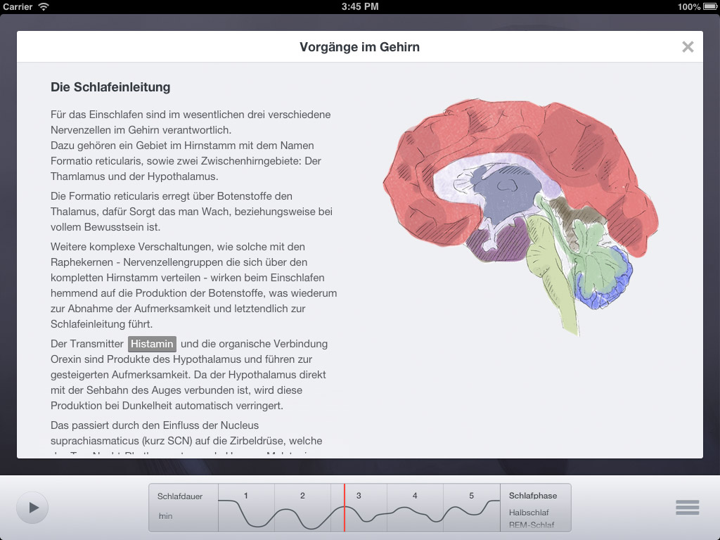 Sleep Anatomy Application Screenshot