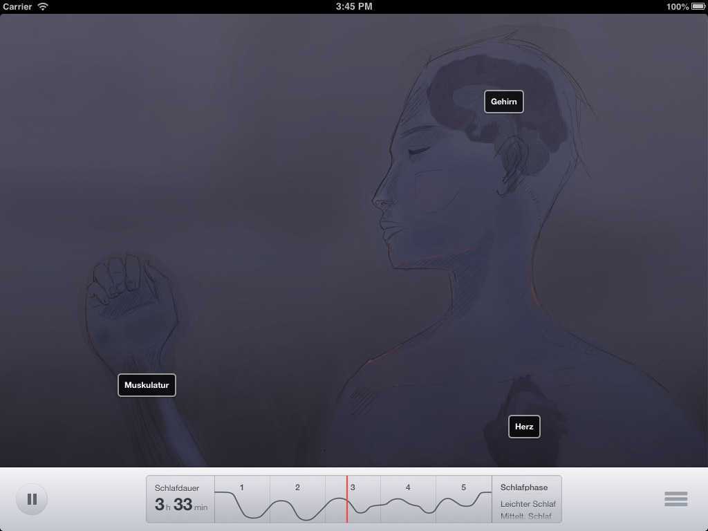 Sleep Anatomy Application Screenshot