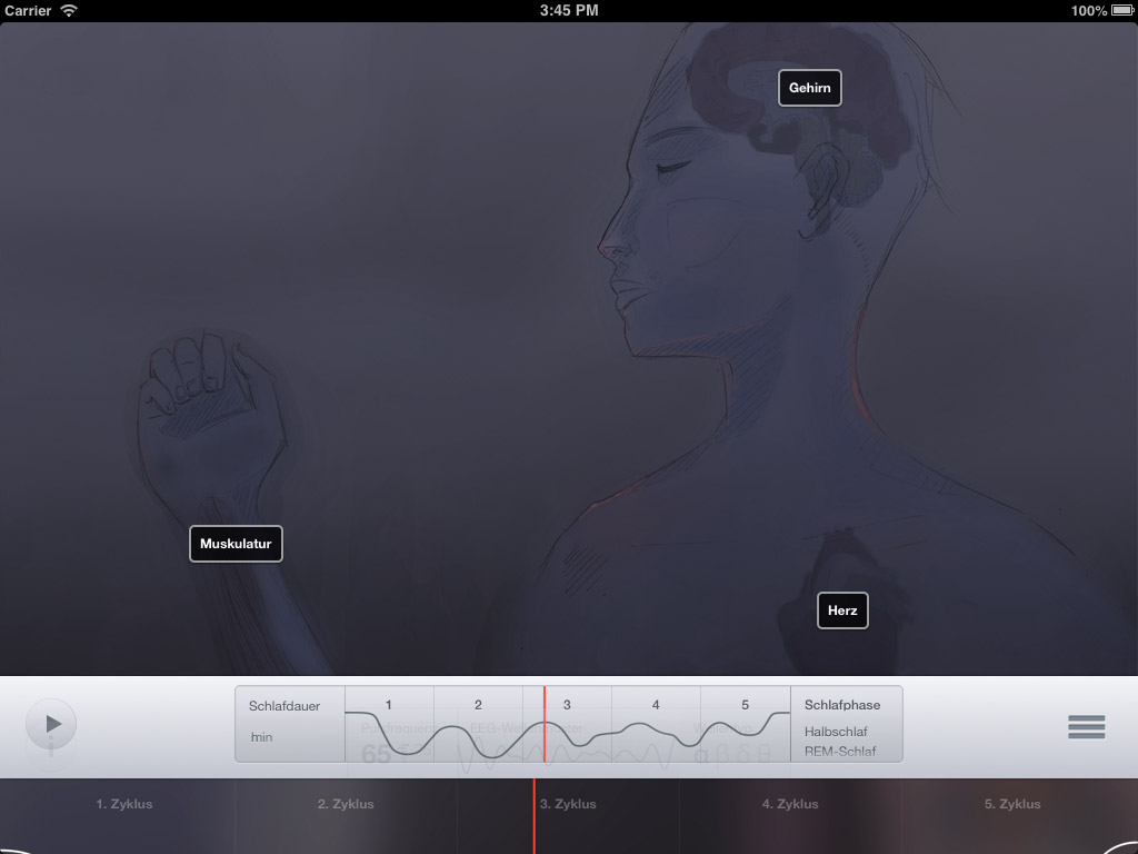 Sleep Anatomy Application Screenshot