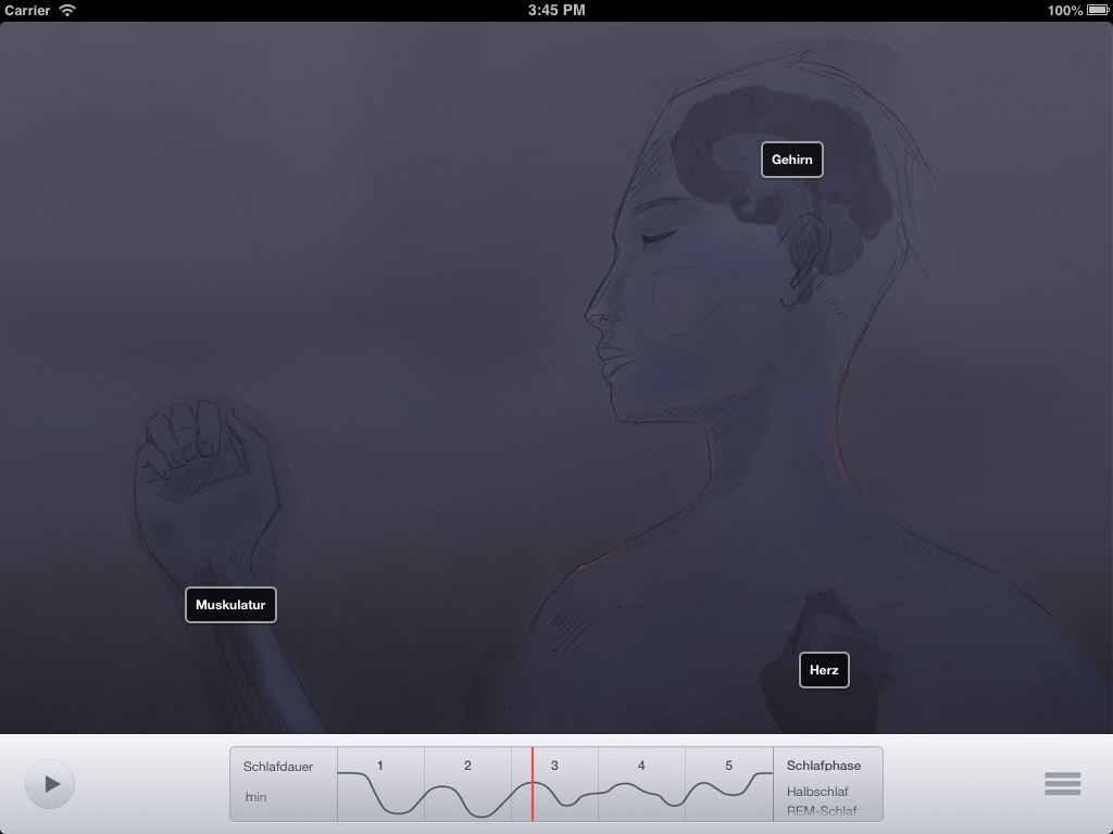 Sleep Anatomy Application Screenshot